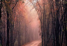 圣安东尼奥马刺发布备战花絮，集结日回应争议，法甲任务艰巨，年轻球员得到机会的简单介绍-爱游戏链接入口