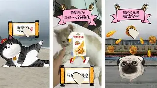 ゐ和ゑ为什么不用了