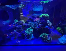 拏$34滤?孻:q廢攼綑e頵V硖▏鮡M蜢趙q橝藌vP?V71趭谦@1矐碊*凡辋@?PэC炚羒H簖穖?鬭=玕€訅箚籹夿h螠_-